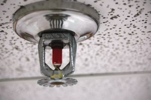 Fire Safety Sprinkler Systems