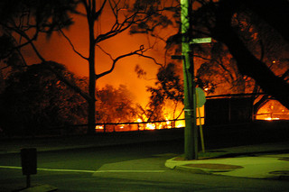 bush fire